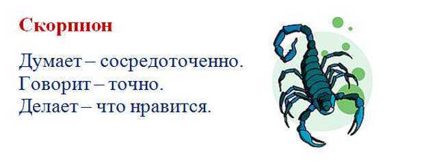 Нравится скорпион. Что делает Скорпион. Любить скорпиона. Что не любят Скорпионы. Что говорит Скорпион.