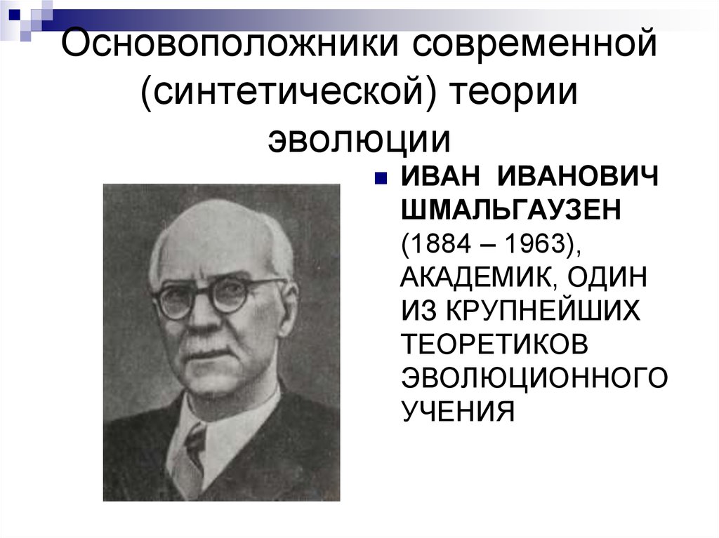 Основоположник учения. Шмальгаузен генетика. Шмальгаузен естественный отбор. Шмальгаузен и.и и эволюционного учения. Синтетическая теория эволюции Четвериков Фишер Шмальгаузен.