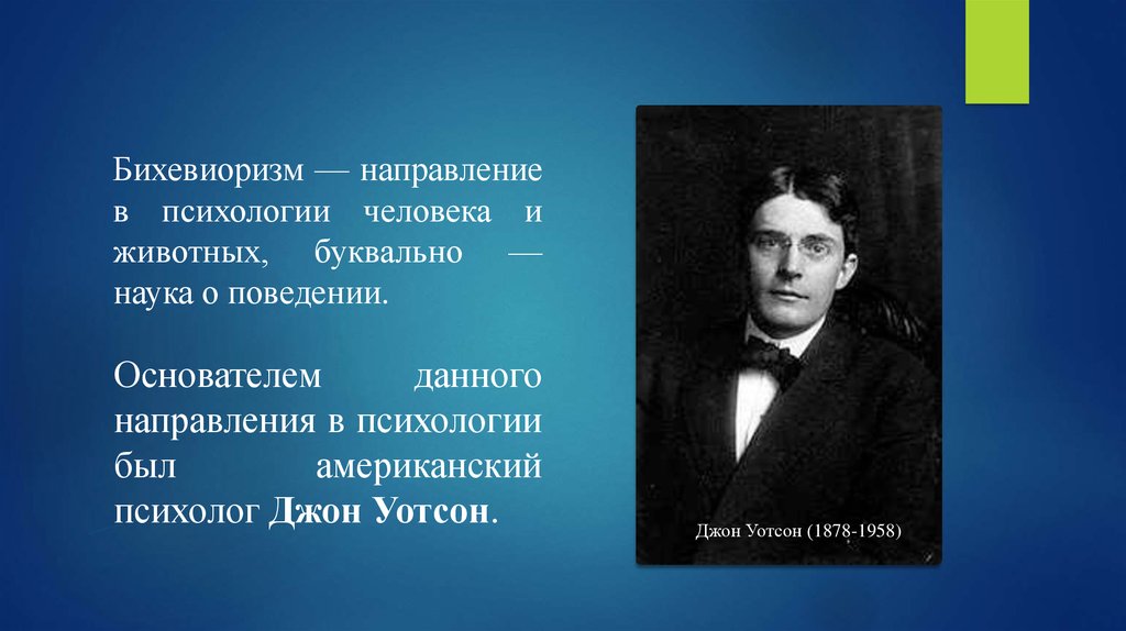 Бихевиоризм. Направления бихевиоризма. Бихевиоральная психология. Представители бихевиоризма в психологии.