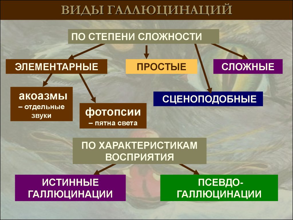 Галлюцинации при шизофрении примеры картинки