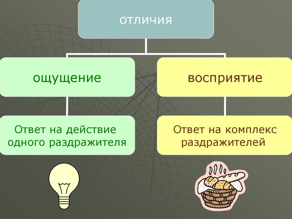 Ощущение и восприятие в психологии картинки