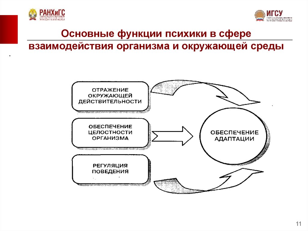 Функции психики. Психика понятие и функции. Функции психики схема. Основные функции психики. Назовите основные функции психики.