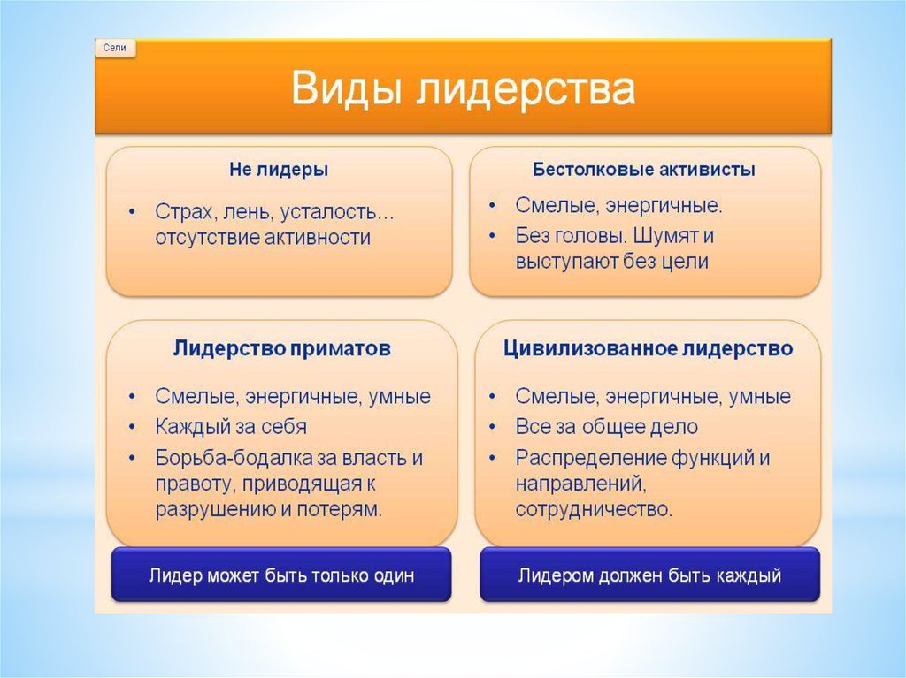 Что характеризует цель лидерства. Виды лидерства. Основные формы лидерства. Лидерство виды лидерства. Виды лидерства в психологии.