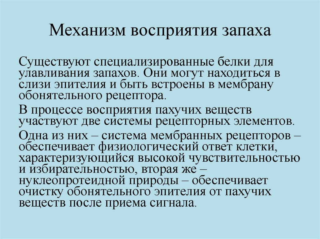 Презентация механизм