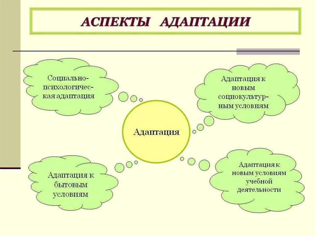 Аспекты общества. Социальная адаптация схема. Структура социальной адаптации. Адаптация схема психология. Презентация на тему социальная адаптация.