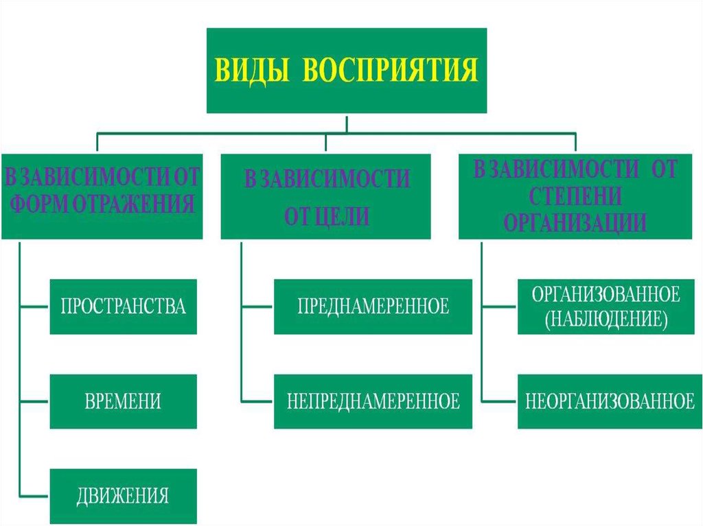 Три формы восприятия. Виды восприятия. Формы восприятия в психологии. Виды восприятия в психологии. Преднамеренное восприятие пример.