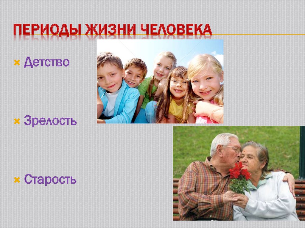 4 периода жизни