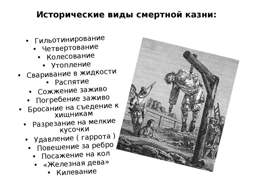 Как казнили преступницу щуку в одноименной басне. Исторические виды казни. Исторические виды смертной казни. Виды смертного приговора.