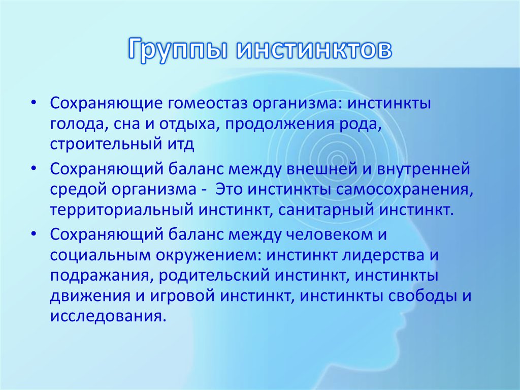 Что такое инстинкт. Группы инстинктов. Основные группы инстинктов человека. Территориальный инстинкт. Особенности инстинктов.