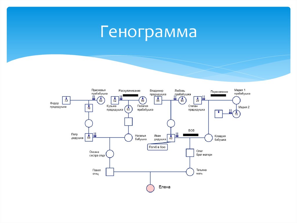 Генограмма семьи картинки