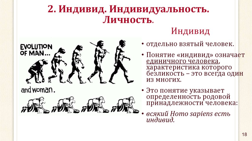 Понятие развитие человека. Человек индивид индивидуальность. Индивид индивидуальность личность. Отличие человека от индивида. Становление индивида личностью.