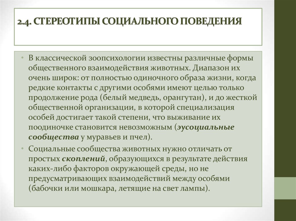 Стереотипы поведения. Стереотипы социального поведения. Ритуальное поведение пример. Поведенческие стереотипы. Социально ролевые стереотипы.