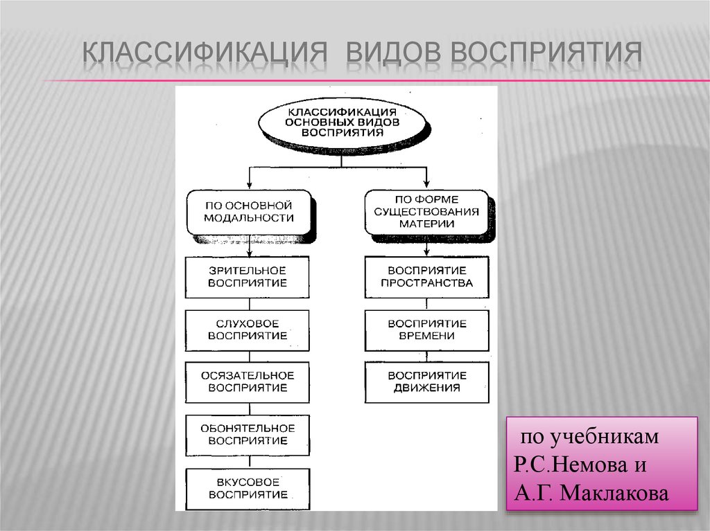 Виды восприятия в психологии