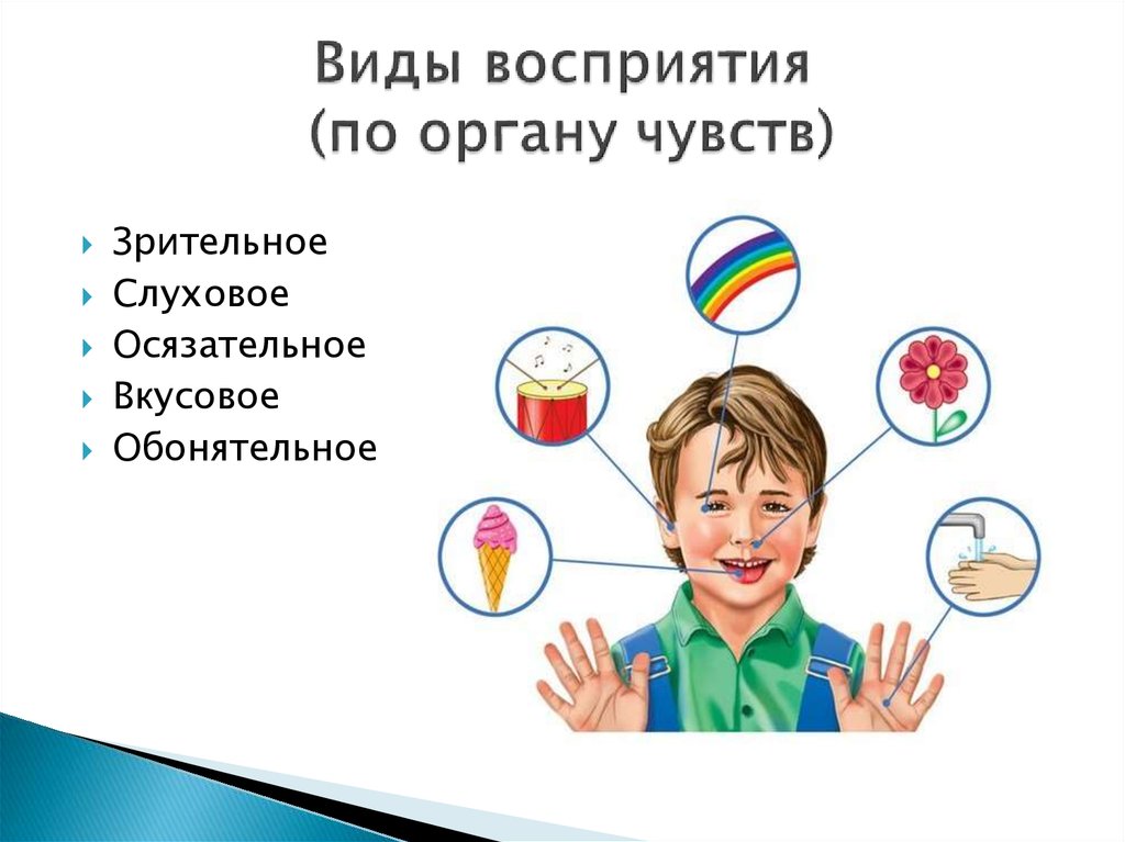 Восприятие природных объектов с помощью органов чувств. Осязательное и зрительное восприятие. Виды восприятия картинки. Восприятия различных органов чувств. Виды восприятия рисунок.