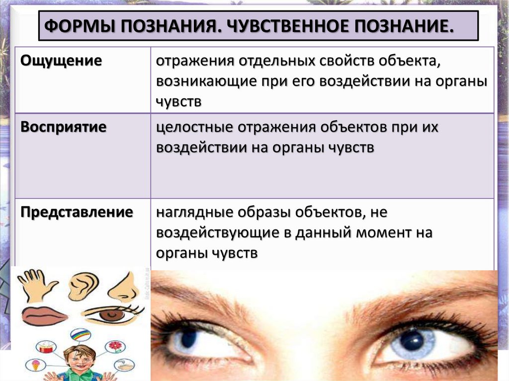 Характеристика чувственного познания отображение целостного образа. Ощущение как форма познания. Чувственное познание и его формы. Чувственное познание органы чувств формы познания. Ощущение как чувственное отображение отдельных свойств предметов.