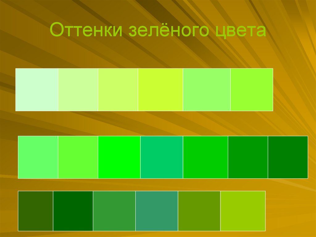 Разновидности зеленых цветов. Оттенки зеленого. Различные оттенки зеленого. Оттенки салатового цвета. Палитра зеленых оттенков.
