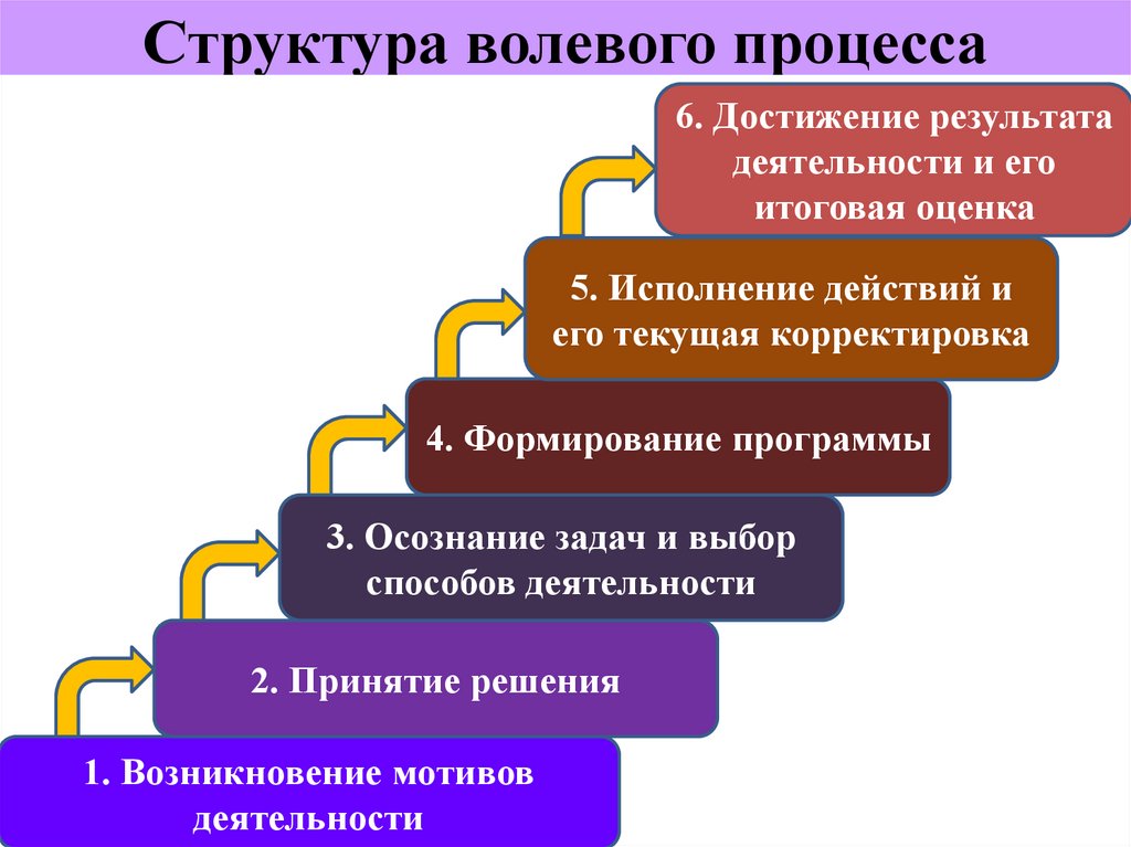 Структура процесса развития. Структура волевого процесса. Строение волевого процесса. Волевая структура. Этапы волевого действия.