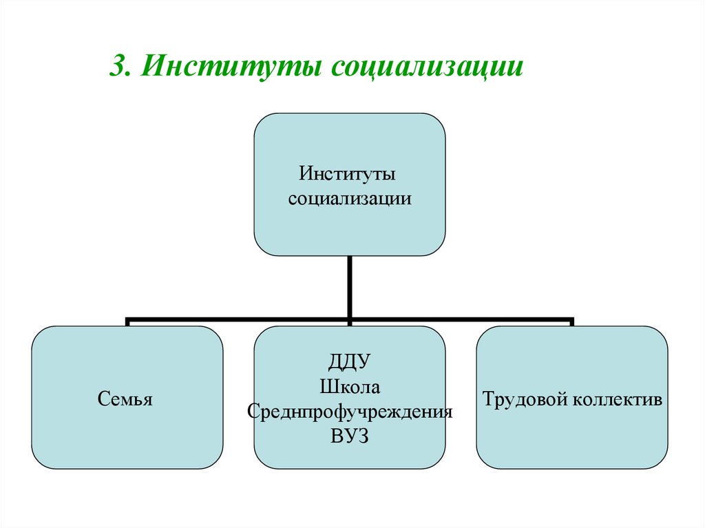 Социальные институты социализации