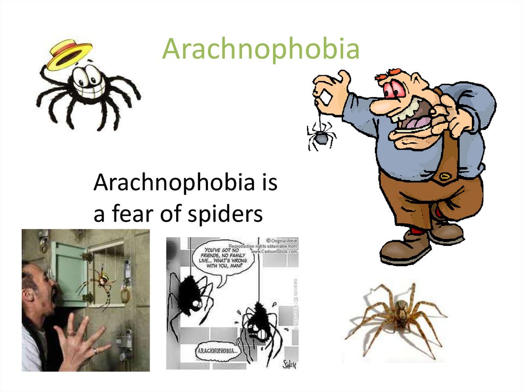 A phobia is an fear of something. Арахнофобия мемы.