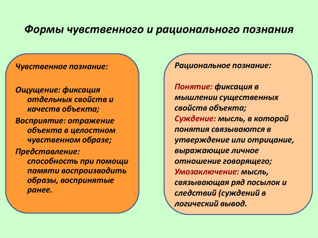 Укажите 3 формы чувственного познания