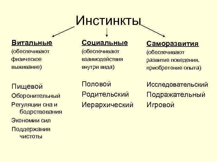 Фундаментальные инстинкты