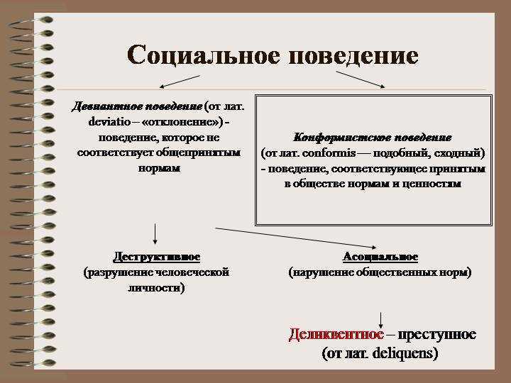 Социальное поведение темы. Типы социального поведения личности. Схема виды социального поведения. Формы социального поведения человека. Социальное поведение.