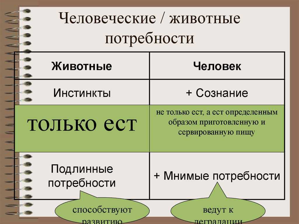 Мнимые потребности