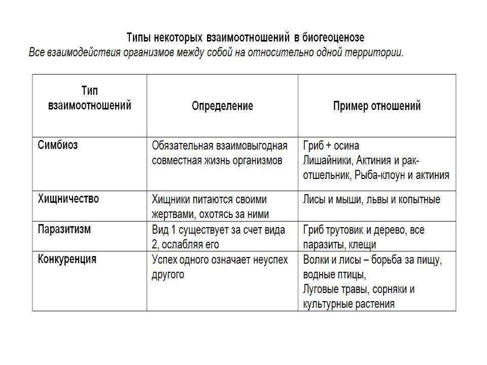 Соответствие между организмами. Типы взаимоотношений между организмами таблица с примерами. Типы взаимоотношений между организмами таблица 5 класс. Типы взаимоотношений между организмами примеры. Виды взаимодействия организмов.