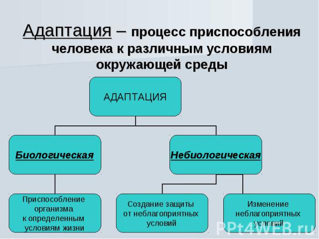 Процесс приспособления организма. Адаптация к условиям окружающей среды. Адаптация человека. Адаптация человека к природным условиям. Адаптация человека к условиям окружающей среды.