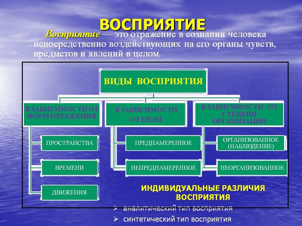 Функции восприятия