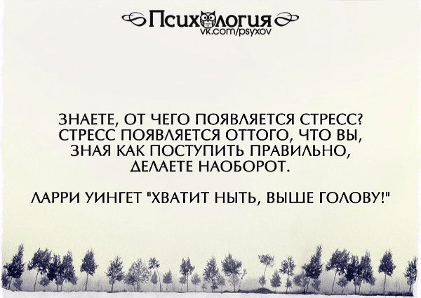 Как правильно поступить. Стресс появляется от того. Хватит ныть выше голову цитаты. Хватит ныть выше голову. Книга хватит ныть выше голову.