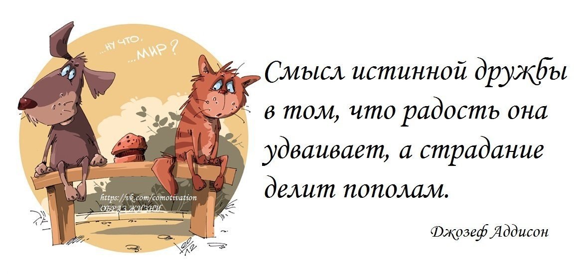 Давай делить пополам. Смысл истинной дружбы в том. Смысл истинной дружбы в том что радость. Смысл истинной дружбы в том что радость она удваивает а страдание. Про дружбу со смыслом.