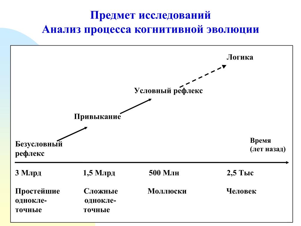 Когнитивные процессы. Когнитивные процессы схема. Развитие когнитивных процессов. Модели когнитивных процессов.