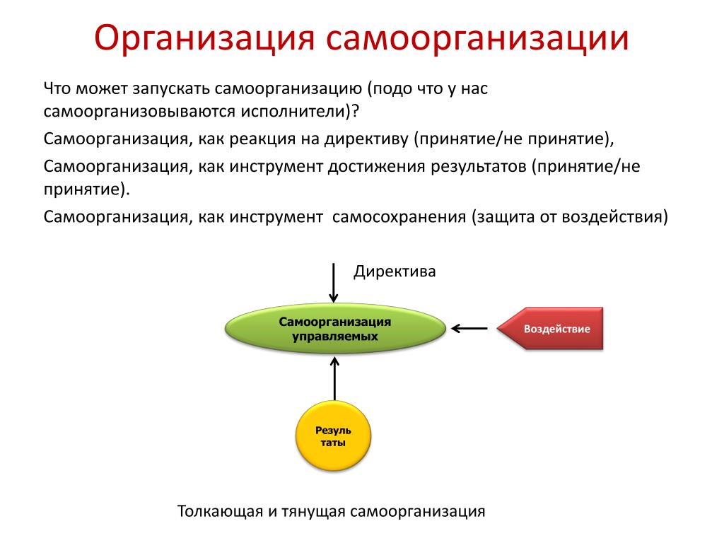 Самоорганизация в природе и обществе. Алгоритм самоорганизации. Факторы самоорганизации. Самоорганизация в организации. Организационный порядок. Самоорганизация.