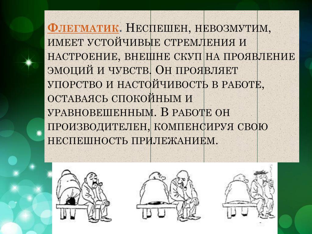 Флегматик характеристика