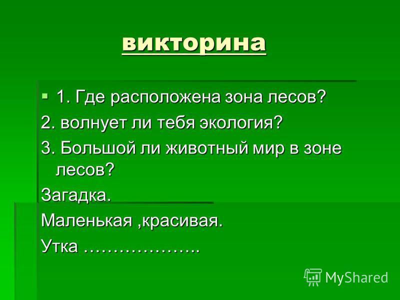 Вопросы по древесине. Викторина по зоне лесов. Викторина про лес. Загадки к зоне лесов. Вопросы по теме леса.