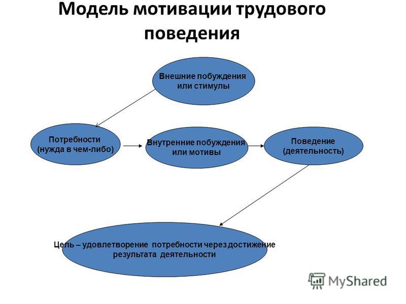 Трудовое поведение. Мотивы трудового поведения. Модели трудовой мотивации. Модель мотивации поведения. Стимулы трудового поведения.