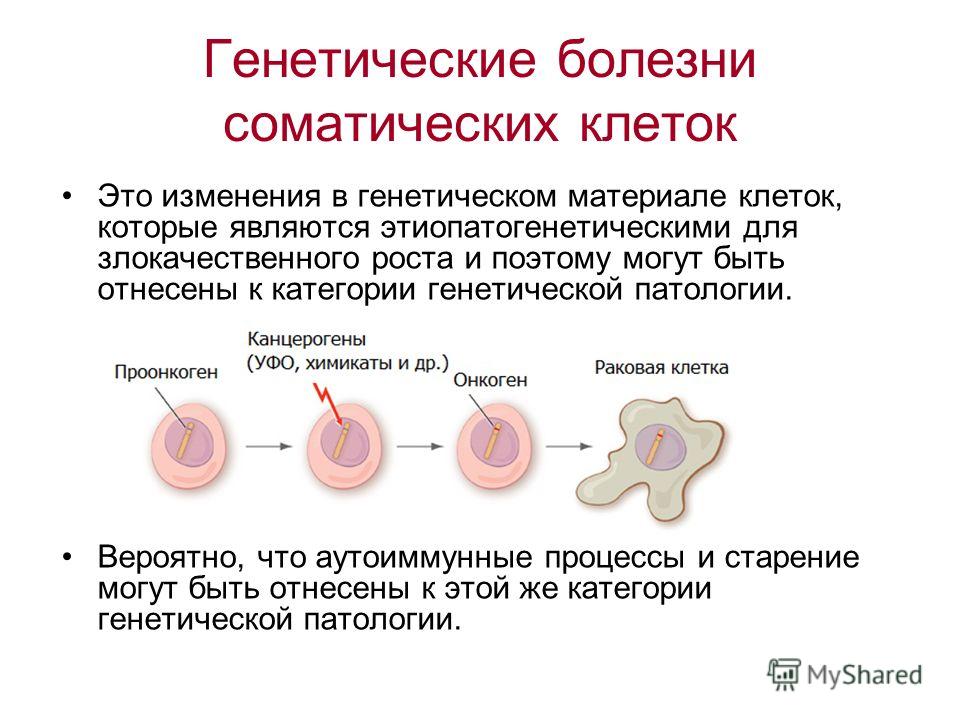 Соматические клетки сколько. Генетические соматические болезни. Генетические болезни соматических клеток. Генетические болезни соматических клеток примеры. Генетические болезни соматических клеток причины возникновения.