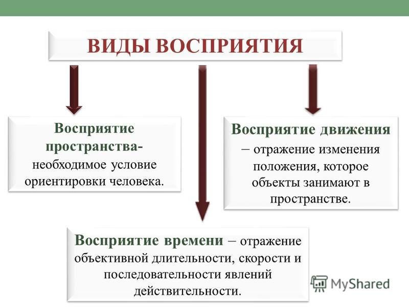 Виды пространства