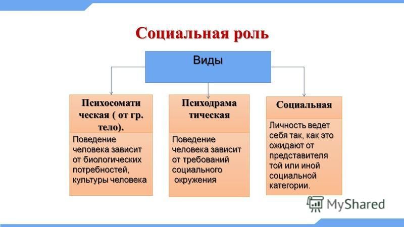 Приведите примеры социальных ролей