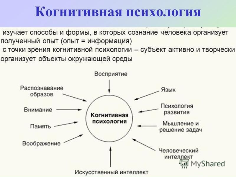 Когнитивная психология концепции