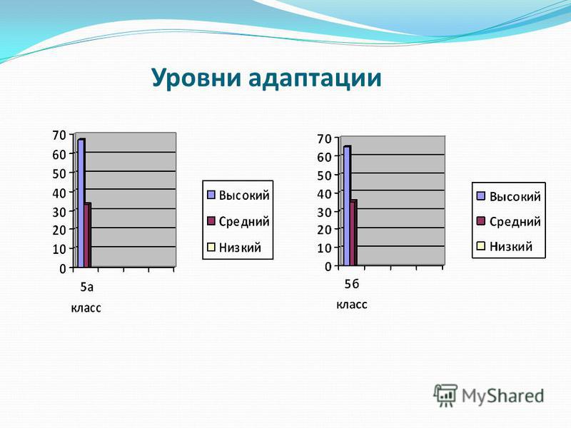 Уровни адаптации