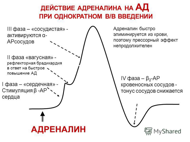 Ниже исходного