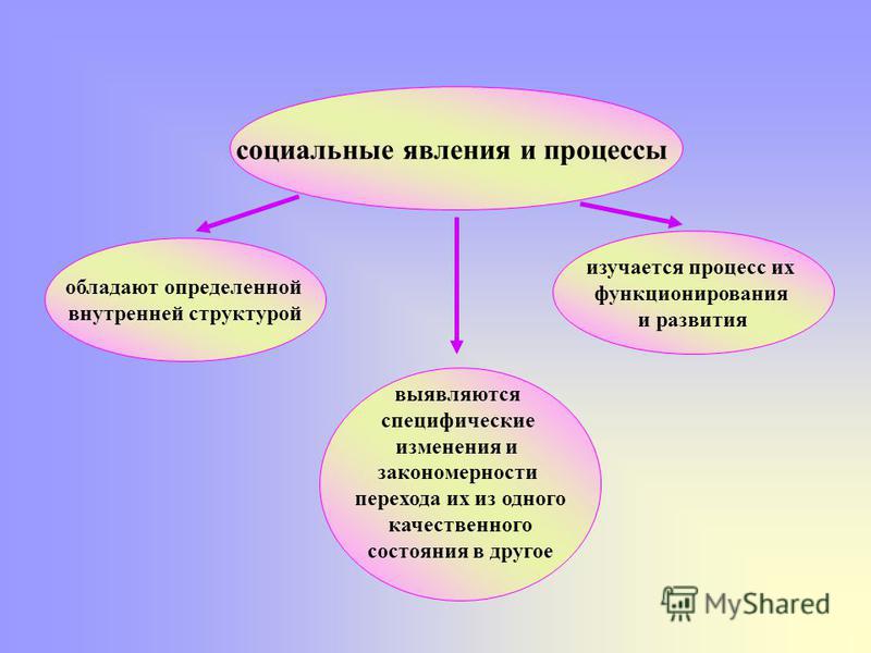 Какой вид экономической деятельности может быть проиллюстрирован с помощью данной фотографии объясни