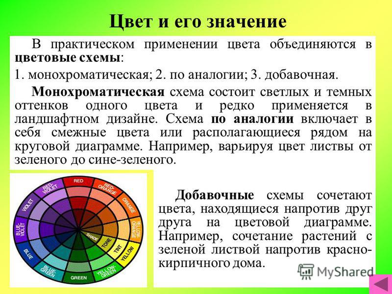 Применить цвет. Монохроматическая цветовая схема. Монохроматическая схема цвета. Смежные цвета. Практическое применение цветов.