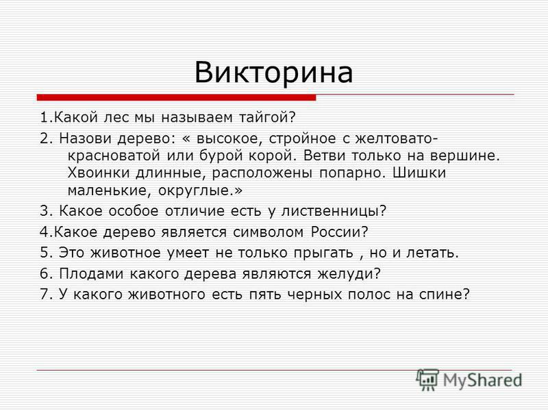 Лес вопросы ответы. Викторина про лес. Вопросы про лес с ответами.