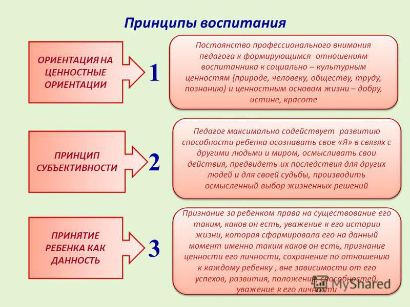 Принципы ориентации. Принципы формирования ценностных ориентаций. Формирование ценностных ориентаций. Формирование ценности ориентации. Ценностные ориентации в воспитании.