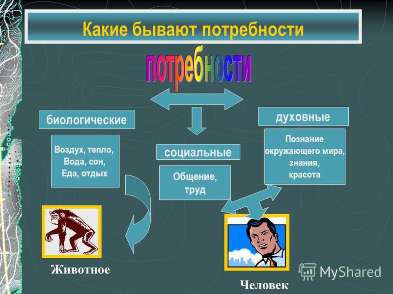 Духовные потребности человека конституция