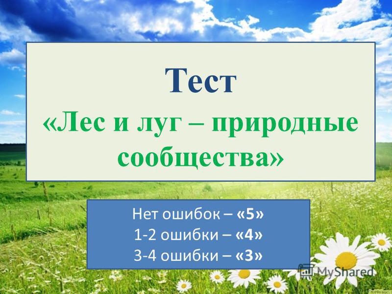 Тест по лесам 4 класс