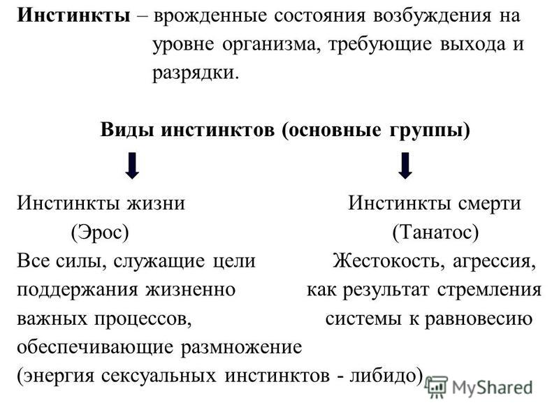 Основный инстинкты. Врожденные инстинкты. Инстинкты врожденные и приобретенные. Виды инстинктов врожденные. Врожденные инстинкты человека.